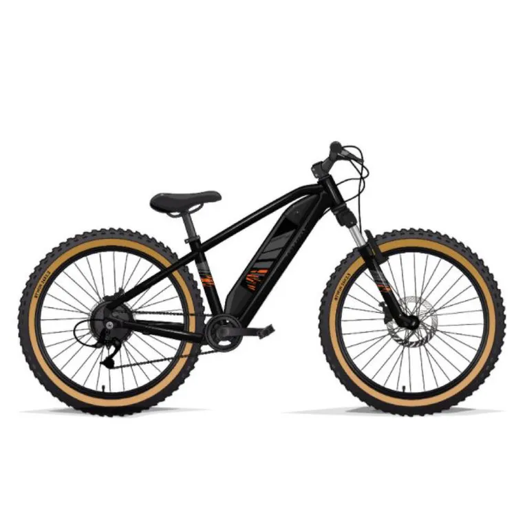 bicykel elektricky - fotografia 1